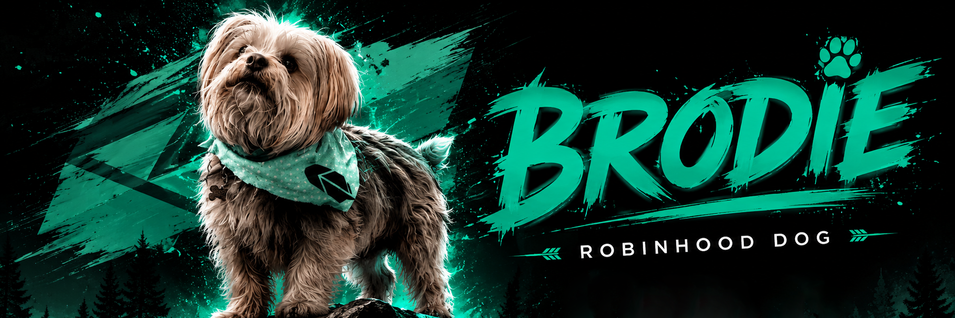 Brodie - Robinhood Dog